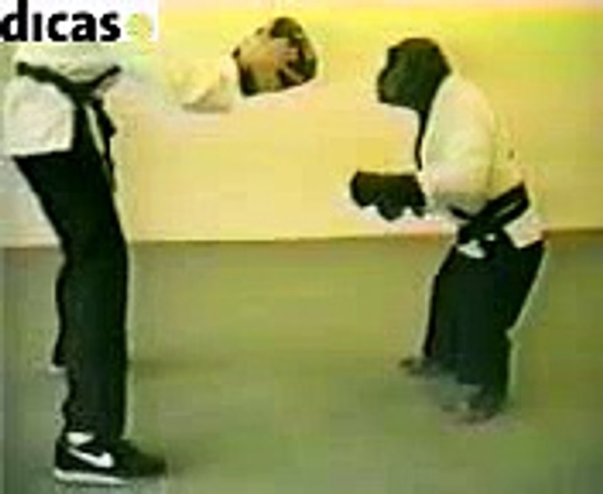 karate chimp funny fight amazing
