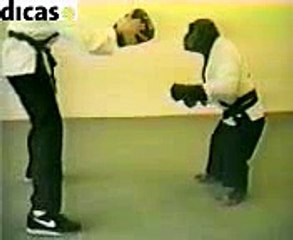 karate chimp funny fight amazing