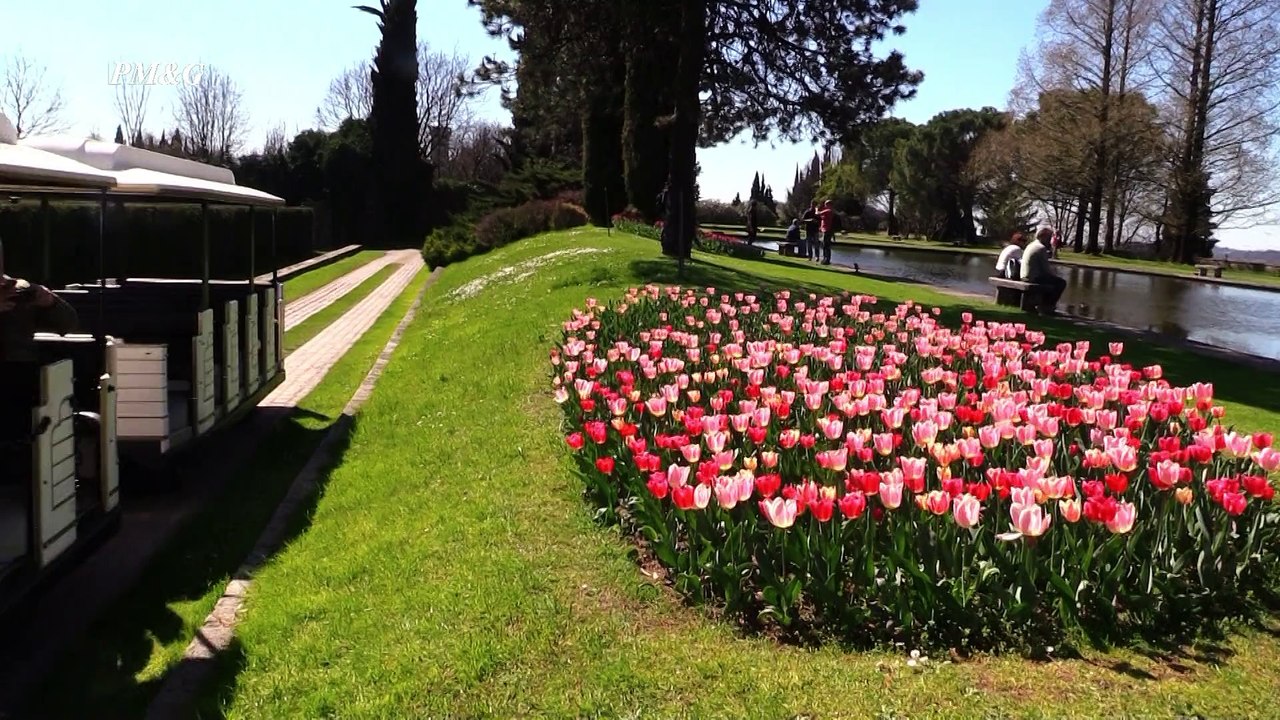 Verona  Parco giardino Sigurtà - Park garden Sigurtà  Italy