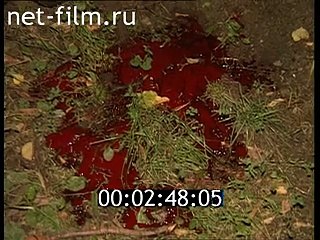 staroetv.su / Дорожный патруль (ТВ-6, 22.07.1996)