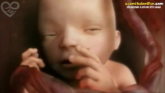 Bir Bebeğin Varoluş Hikayesi