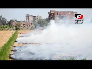 سحابة سوداء في الدقهلية ومواطنون يطالبون الحكومة بالتدخل