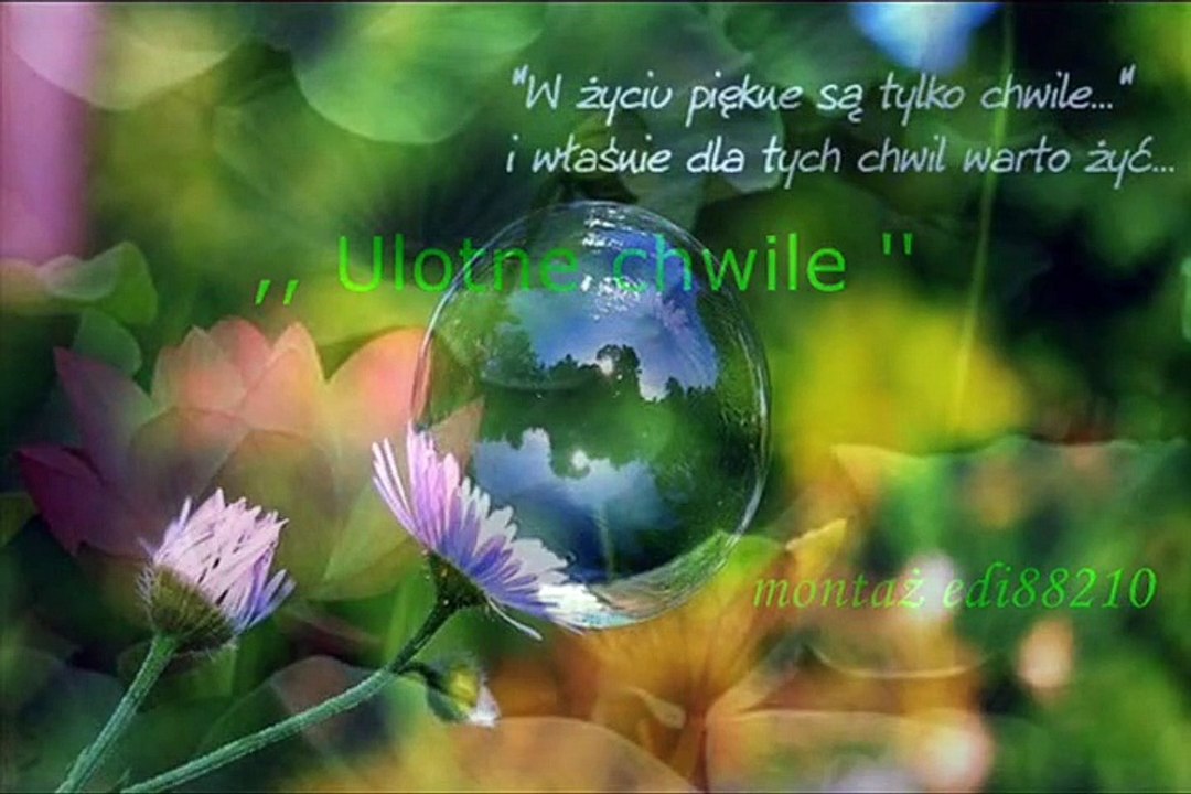 Zespół Lotos - Ulotne chwile ( Własny utwór )