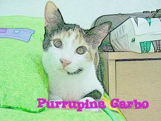 Vos sos loca 4: el juego de la vida