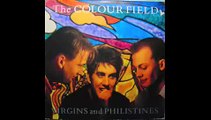 The Colour Field - Thinking Of You