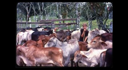 Hacienda Santa Amalia