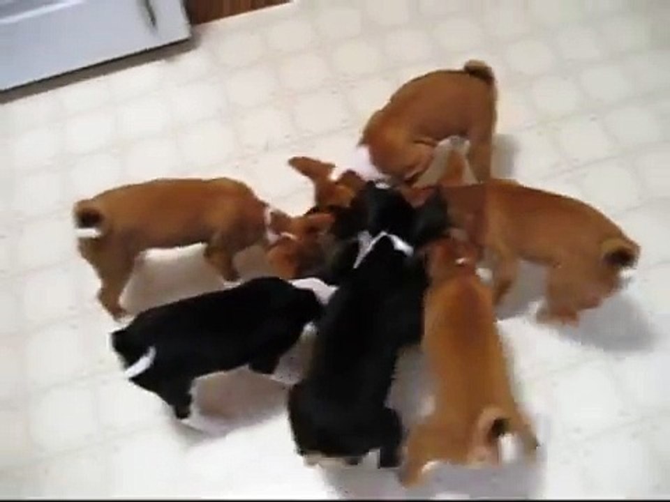 Round and Round
