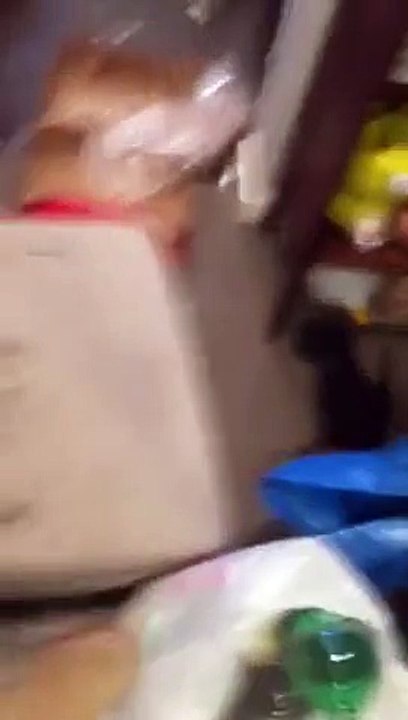 Après avoir loué leur maison sur Airbnb, ils re...