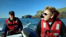 Gordon Ramsay Gets Bitten on the Nose by a Puffin - Gordon Ramsay