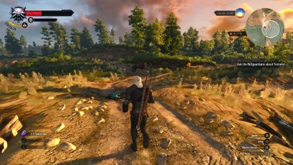 WITCHER 3  WILD HUNT (PREVIEW) - Gameplay Footage - part 2/3