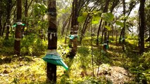 10.5 Acres Rubber Estate for Sale in Angamaly Manjapra Ernakulam Realestate Properties