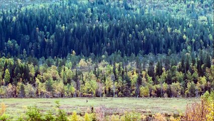 Out of Nature (Mot naturen) 2014 Ole Giæver Film Trailer