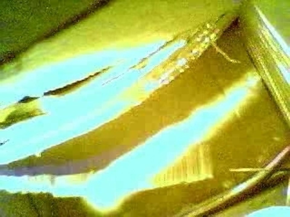 Raw Footage