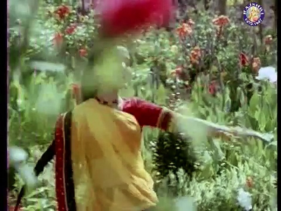 Ghani Ghani Amariya - Madhuri Dixit - Abodh