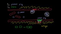 Clotting 1 - How do we make blood clots?