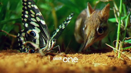 Hidden Kingdoms: Launch Trailer - BBC One