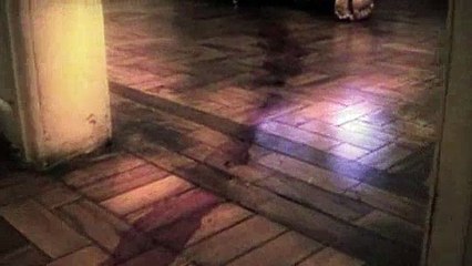 VONTADE DE COMER - Curta Metragem de Horror - Corte Seco Filmes