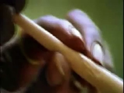 Peter Tosh - Legalize it live