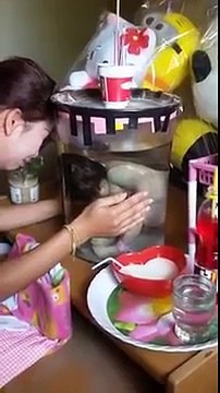 [ดูหนังxหนังออนไลน์] นำศพลูกมาไว้ในโหลแก้ว