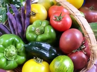 Homegrown Revolution Trailer: Premiers Wild & Scenic Film Festival Jan 9-11