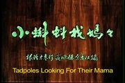 Tadpoles Looking For Their Mama (English subbed)