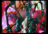Stan Brakhage 2001   Love Song