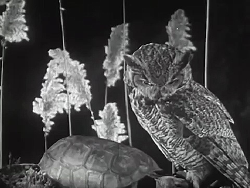Aesop's The Tortoise and the Hare: "The Hare an...