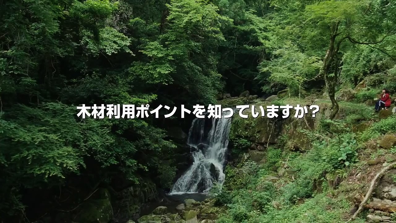 'Wood Job!' teaser