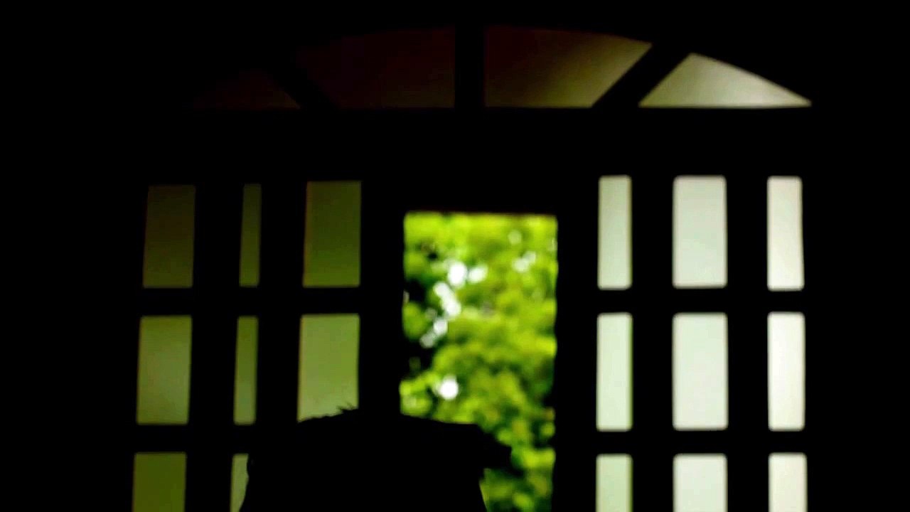 Um Dia Quero Voar - Teaser 1