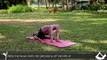 Backbend Yoga Poses: Chakrasana (The Wheel Pose)  I 2