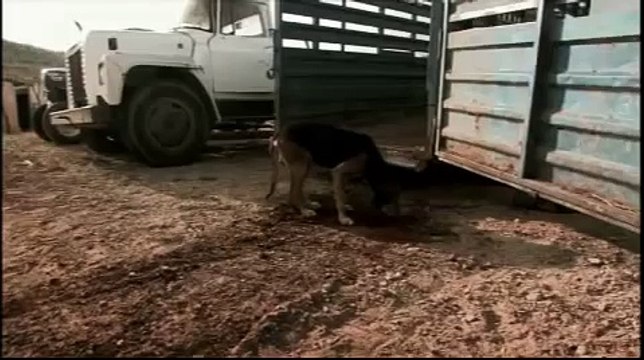 Trailer Oficial Cuates de Australia / Everardo González