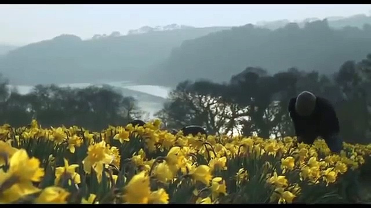 'The Fold' Film Trailer 2014