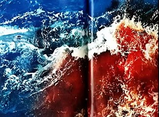 AQUI TODOS OS DIAS SAO DO CACADOR - mp4