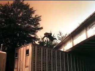 Shelter 1998   Open ended Trailer e10973