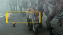 Bande-annonce : Sur la Terre des Dinosaures - Teaser (9) VO