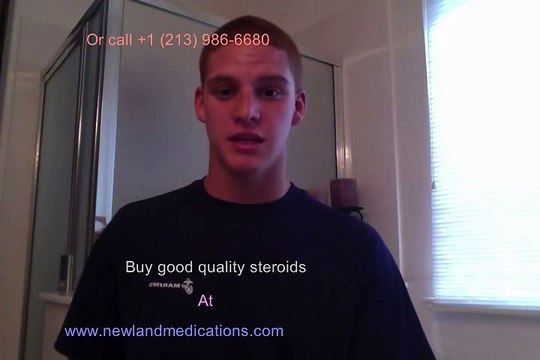 Get a Hard Body – The Best Legal Steroids to Use | newlandmedications.com