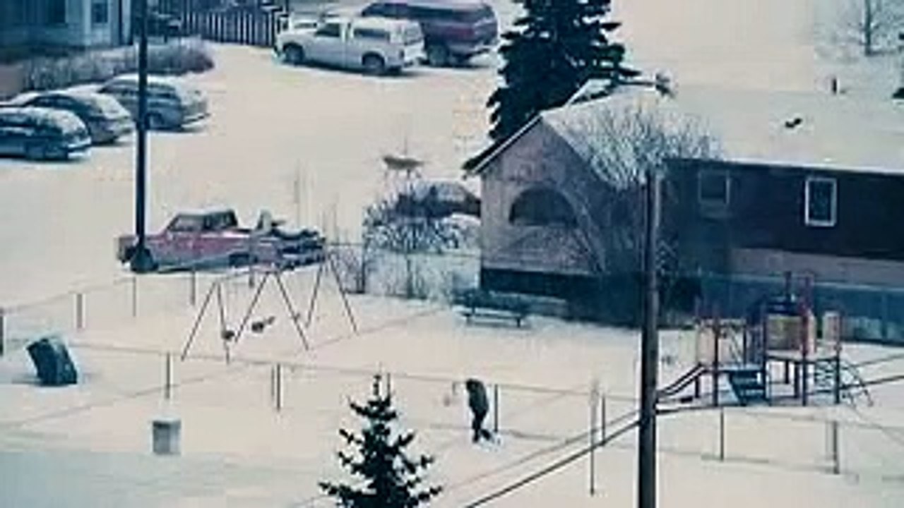 The Big White trailer 2005