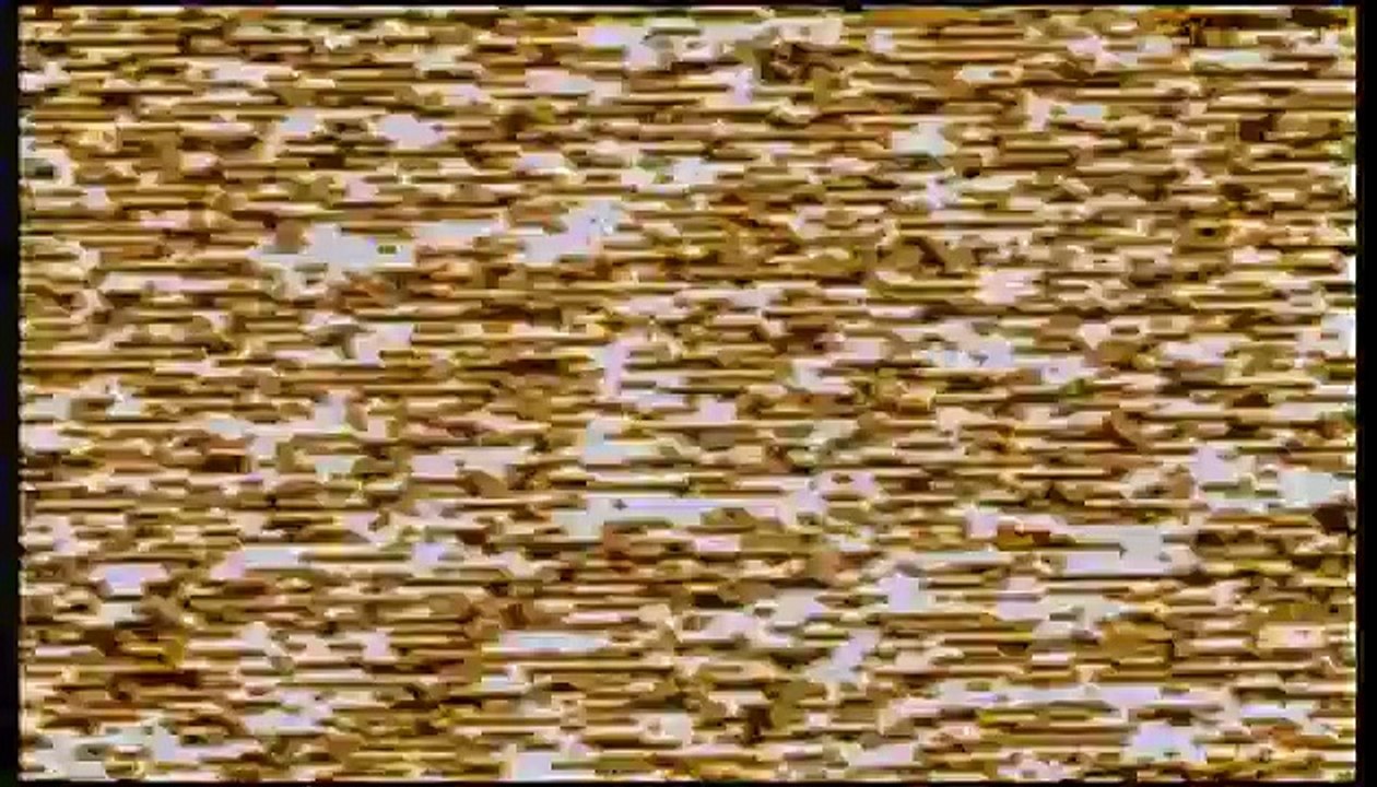 Psycho (1998) - Original Trailer