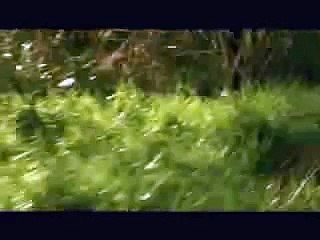 A ce soir (Nelly) Trailer Sophie Marceau