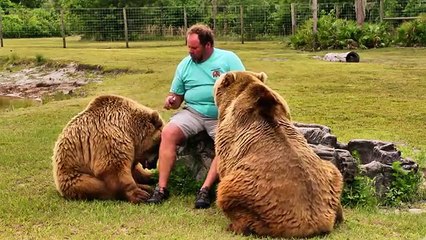 Une famille vit avec 13 ours à al maison !
