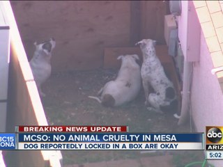 MCSO investigating possible case of animal abuse