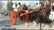 JIGER VS PAWAN HORSE RACE(ZAHID RAFIQ TANGA MAKER RAWALPINDI)part 2