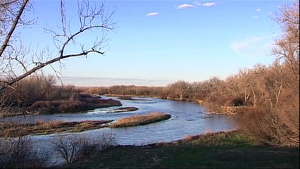 Ducks Unlimited Waterfowl Migration Habitat