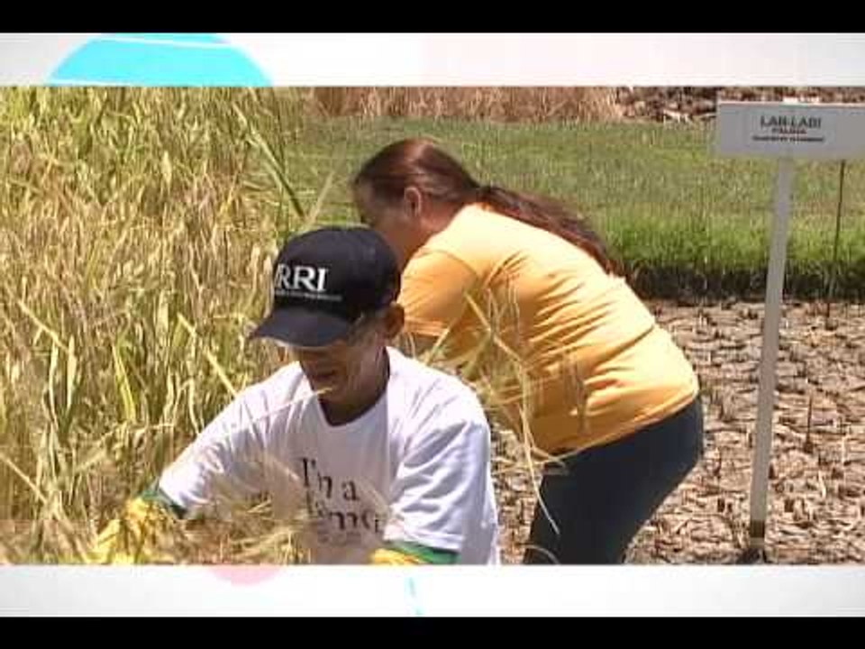 Kris & Bimby Summer TV May 6, 2015 Teaser