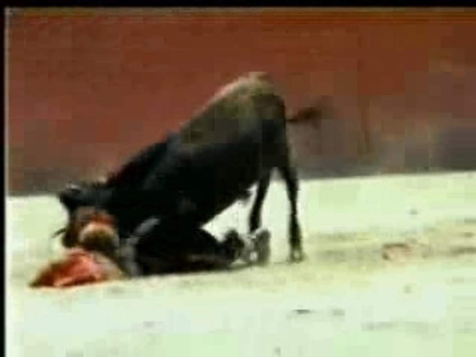 Midget Bullfighter Humped