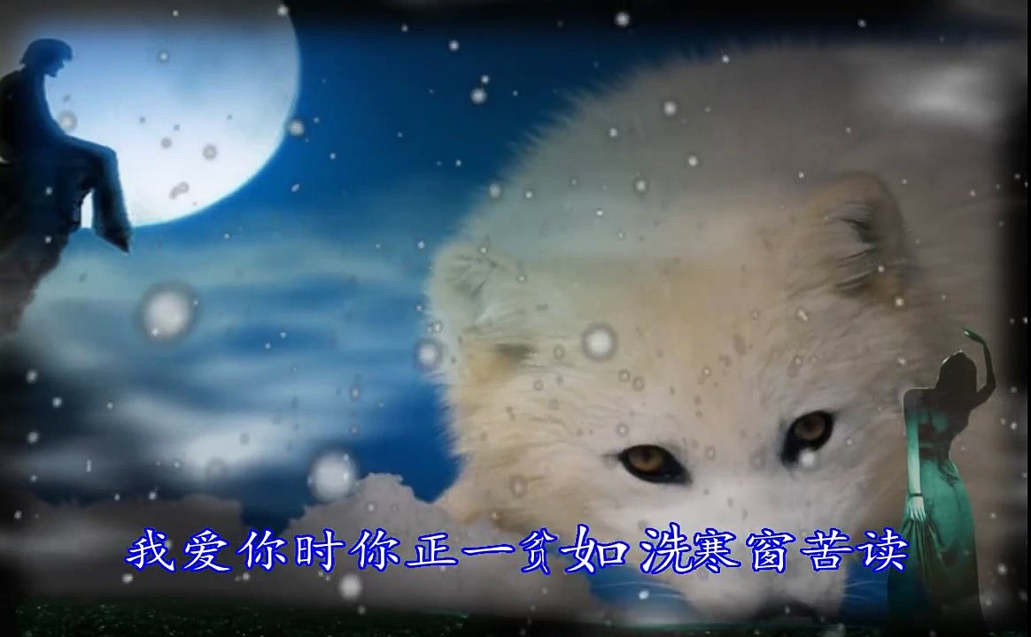 白狐陈瑞