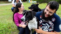 Cauê Moura fala sobre seus cachorros - Quatro Patas Entrevista