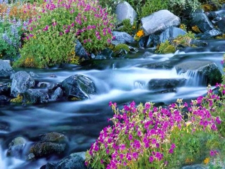 Dostlar Kervanı Ezgi İlahi Sayfası