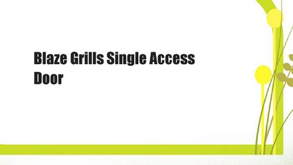 Blaze Grills Single Access Door