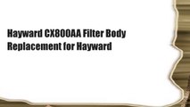 Hayward CX800AA Filter Body Replacement for Hayward